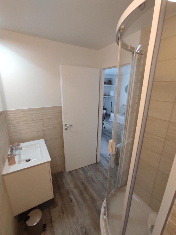 Appartement Climatise Avec Balcon,Wifi, Proche Remparts Avinyon Dış mekan fotoğraf